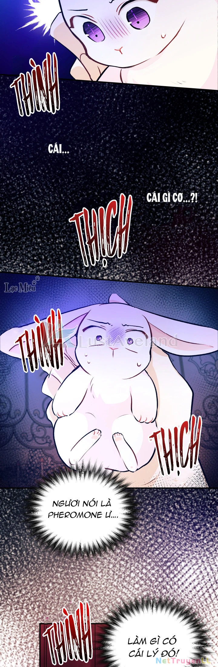 Mối Liên Kết Giữa Báo Đen Và Bé Thỏ Chapter 4 - Trang 2