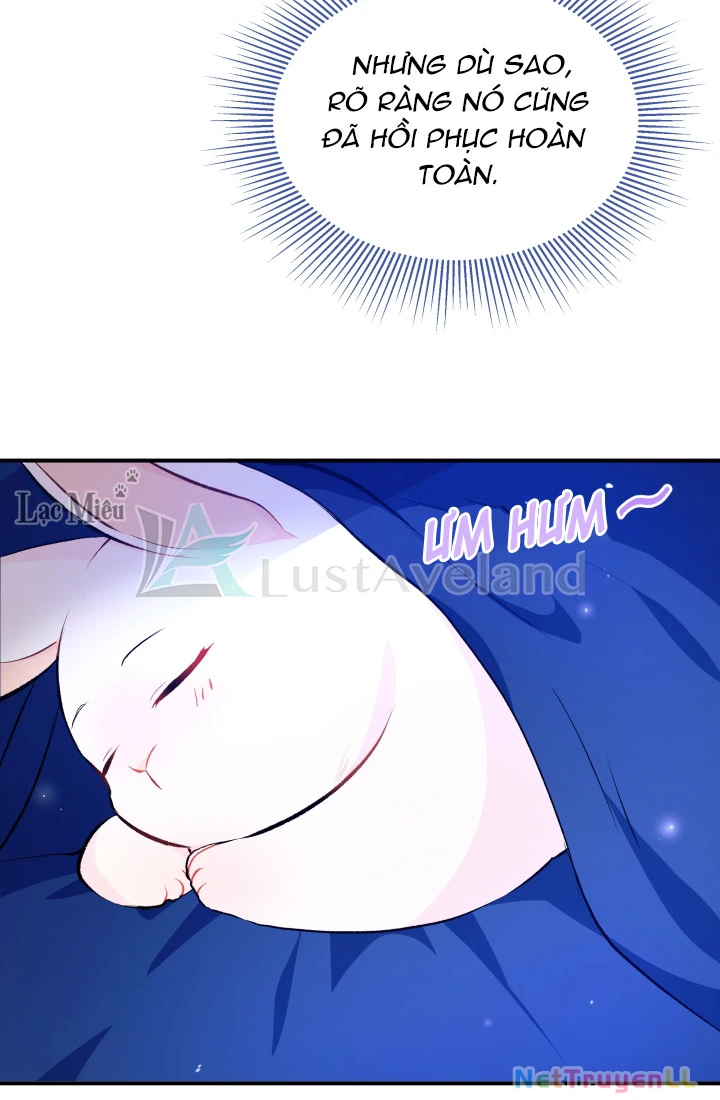 Mối Liên Kết Giữa Báo Đen Và Bé Thỏ Chapter 4 - Trang 2