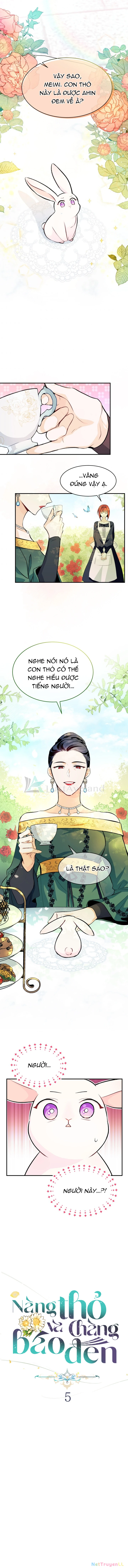 Mối Liên Kết Giữa Báo Đen Và Bé Thỏ Chapter 5 - Trang 2