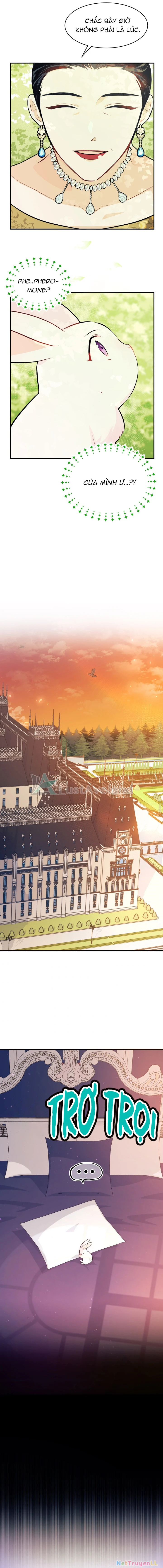 Mối Liên Kết Giữa Báo Đen Và Bé Thỏ Chapter 5 - Trang 2