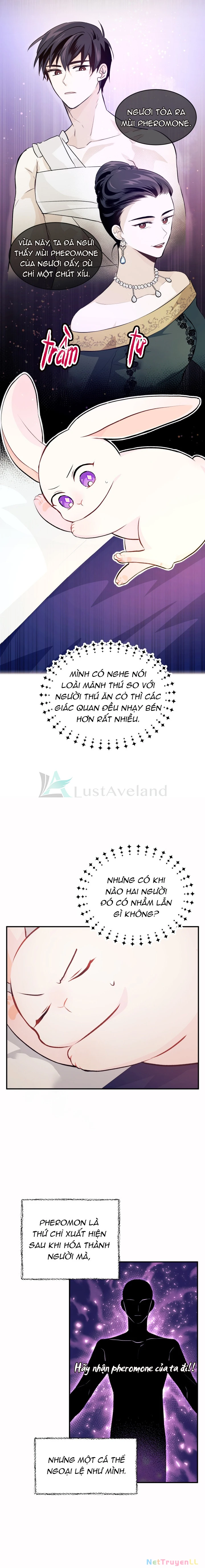 Mối Liên Kết Giữa Báo Đen Và Bé Thỏ Chapter 5 - Trang 2