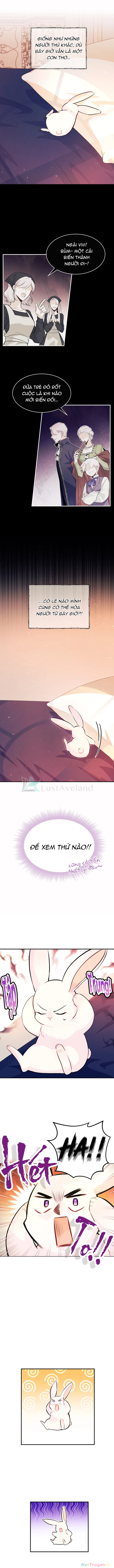 Mối Liên Kết Giữa Báo Đen Và Bé Thỏ Chapter 5 - Trang 2