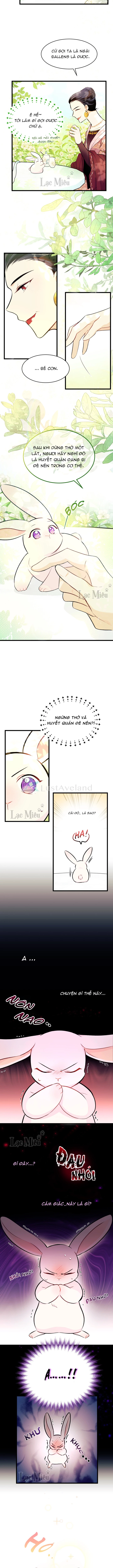 Mối Liên Kết Giữa Báo Đen Và Bé Thỏ Chapter 6 - Trang 2