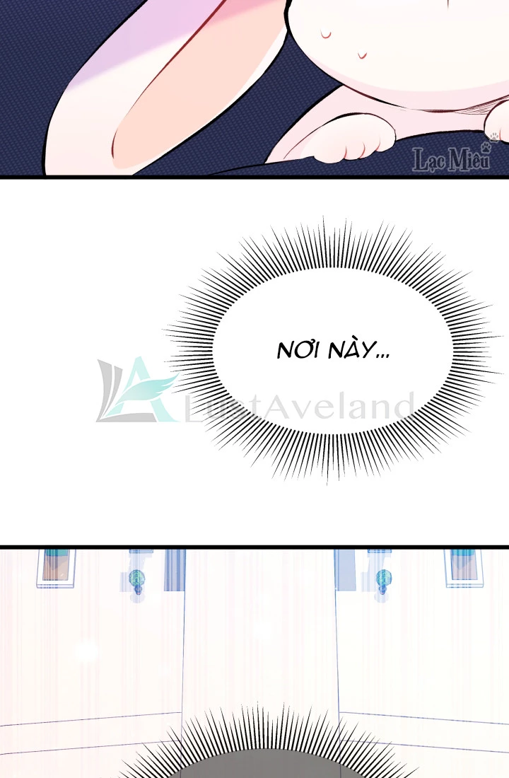 Mối Liên Kết Giữa Báo Đen Và Bé Thỏ Chapter 7 - Trang 2