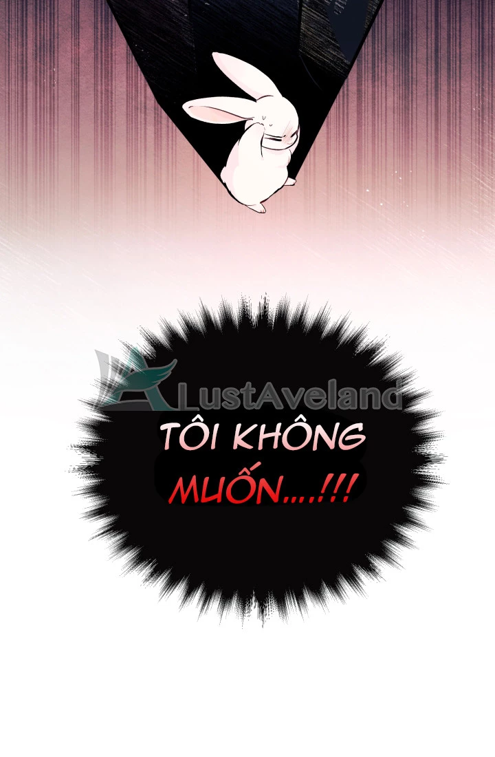 Mối Liên Kết Giữa Báo Đen Và Bé Thỏ Chapter 7 - Trang 2