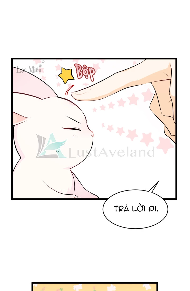 Mối Liên Kết Giữa Báo Đen Và Bé Thỏ Chapter 7 - Trang 2