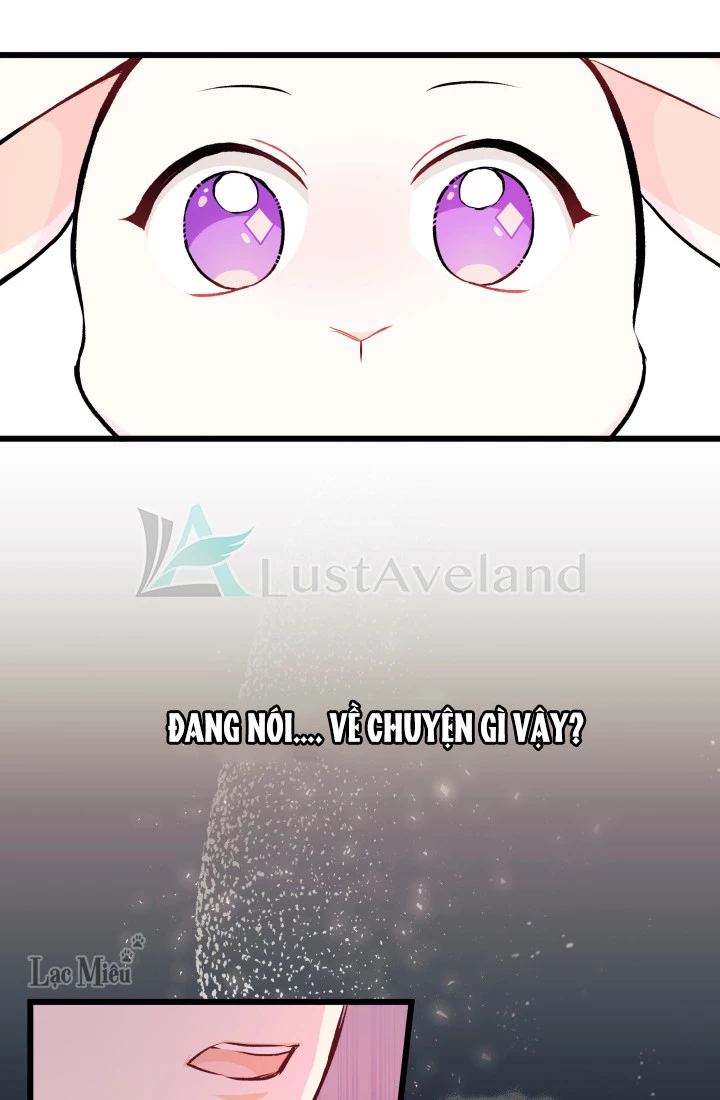 Mối Liên Kết Giữa Báo Đen Và Bé Thỏ Chapter 7 - Trang 2