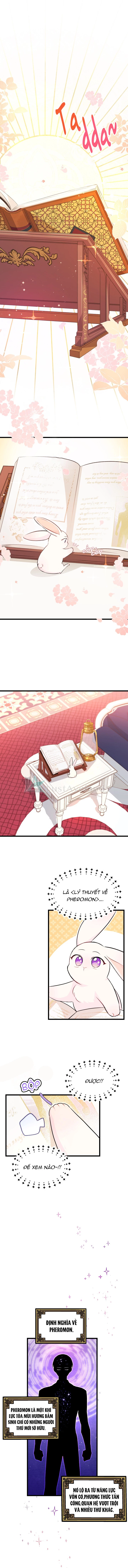 Mối Liên Kết Giữa Báo Đen Và Bé Thỏ Chapter 8 - Trang 2