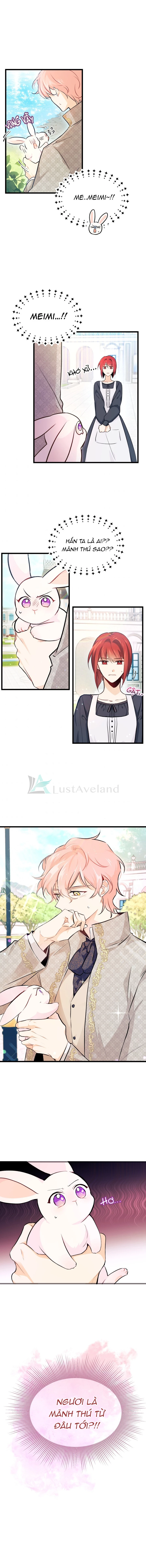 Mối Liên Kết Giữa Báo Đen Và Bé Thỏ Chapter 8 - Trang 2