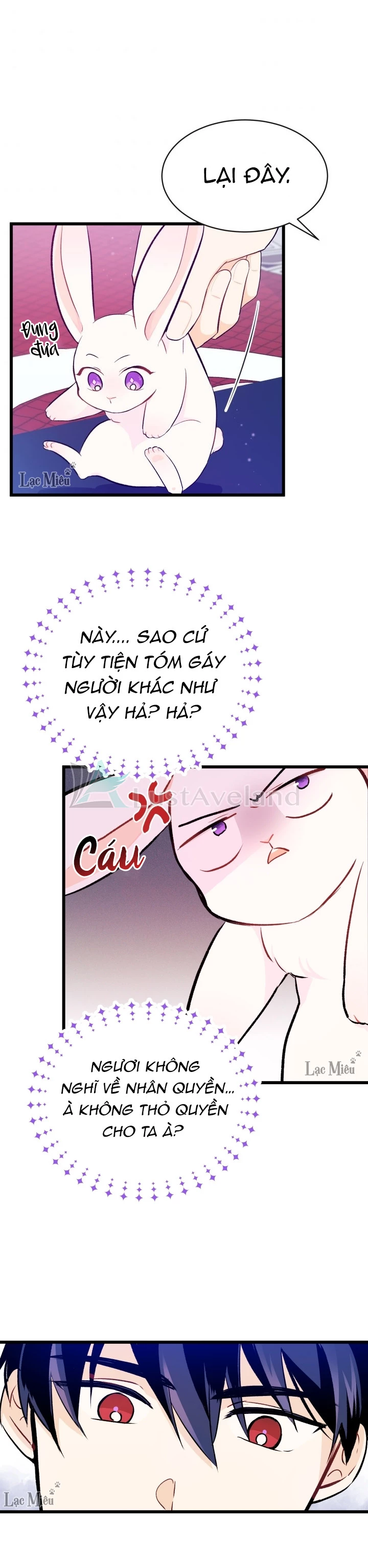 Mối Liên Kết Giữa Báo Đen Và Bé Thỏ Chapter 10 - Trang 2
