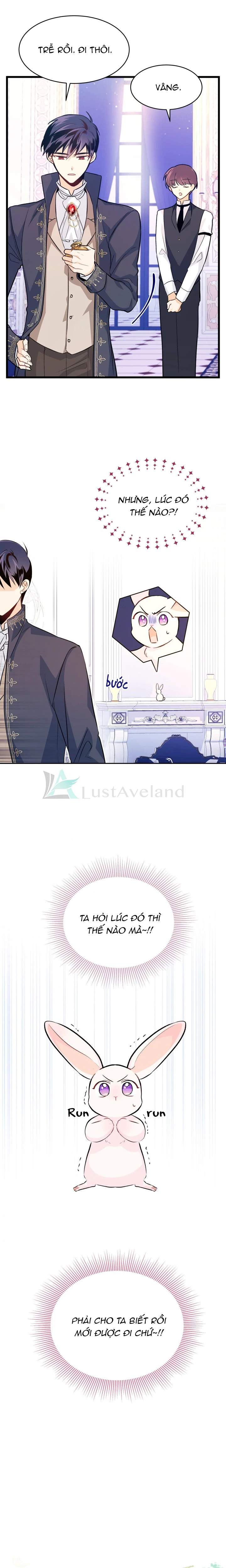Mối Liên Kết Giữa Báo Đen Và Bé Thỏ Chapter 11 - Trang 2