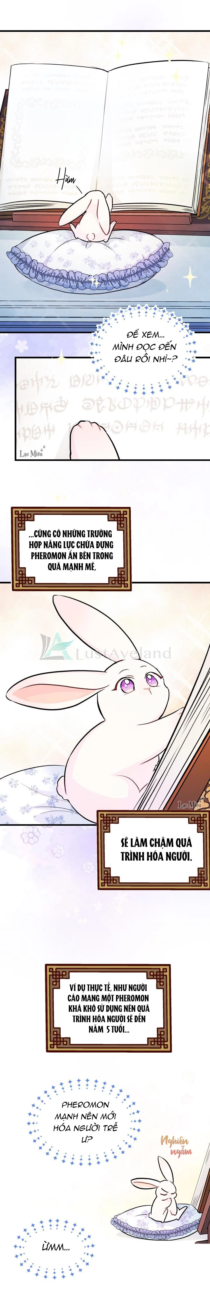 Mối Liên Kết Giữa Báo Đen Và Bé Thỏ Chapter 13 - Trang 2