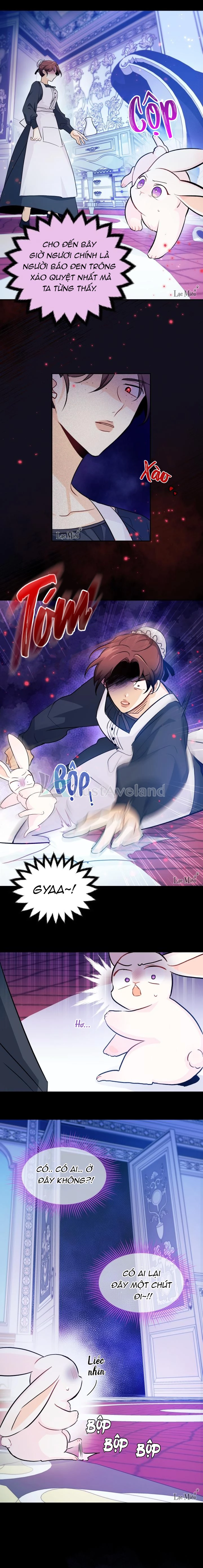 Mối Liên Kết Giữa Báo Đen Và Bé Thỏ Chapter 13 - Trang 2