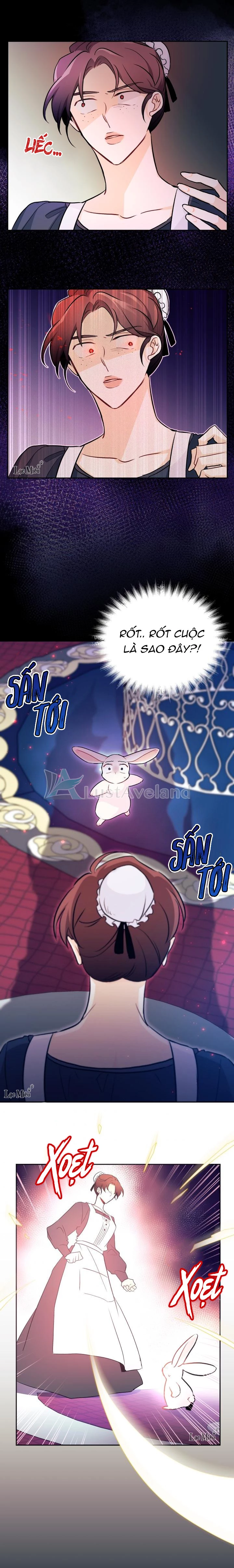 Mối Liên Kết Giữa Báo Đen Và Bé Thỏ Chapter 13 - Trang 2