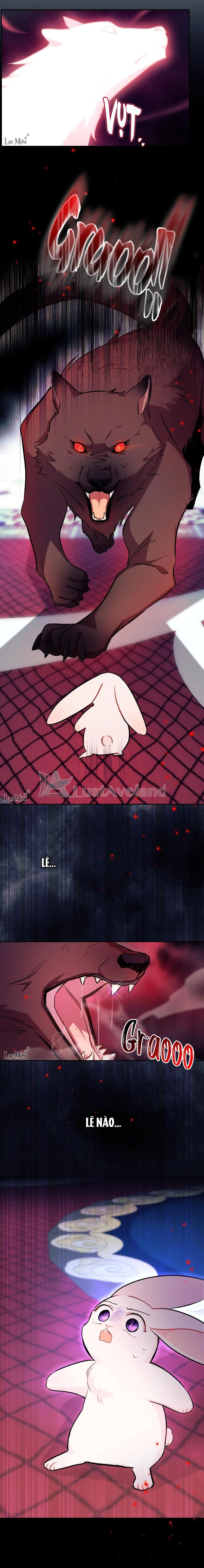 Mối Liên Kết Giữa Báo Đen Và Bé Thỏ Chapter 13 - Trang 2