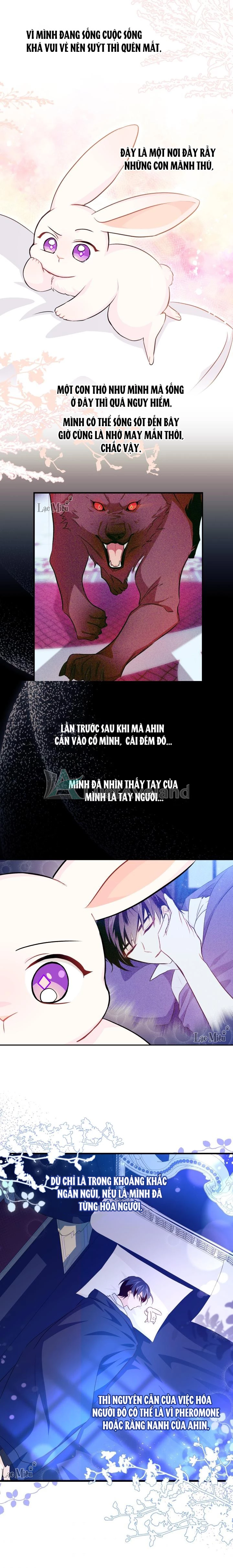 Mối Liên Kết Giữa Báo Đen Và Bé Thỏ Chapter 16 - Trang 2