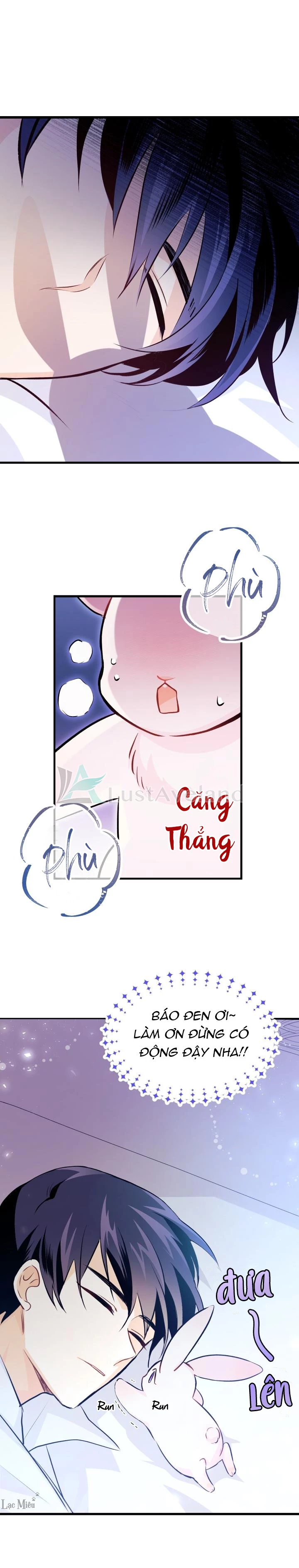 Mối Liên Kết Giữa Báo Đen Và Bé Thỏ Chapter 16 - Trang 2