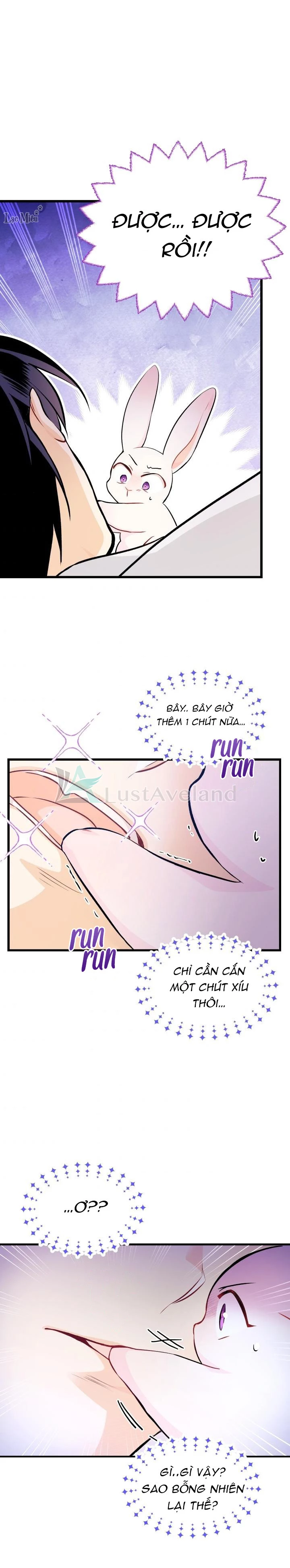 Mối Liên Kết Giữa Báo Đen Và Bé Thỏ Chapter 16 - Trang 2