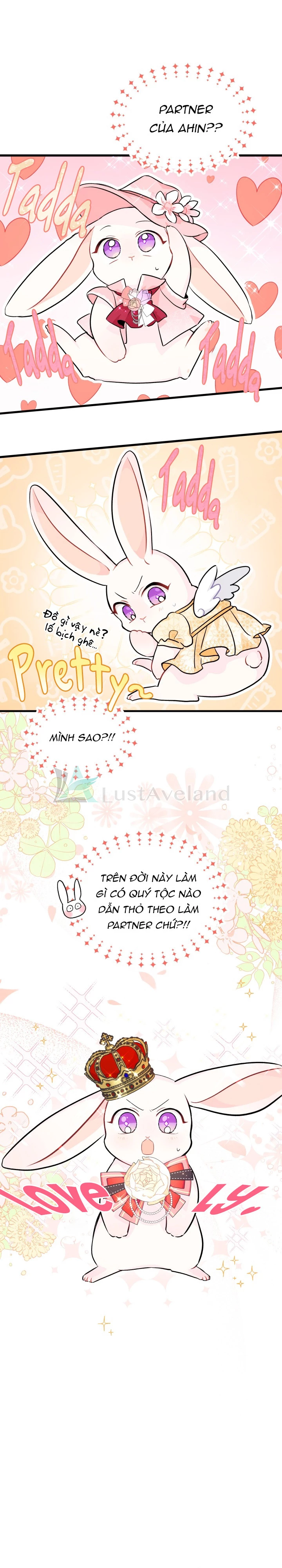 Mối Liên Kết Giữa Báo Đen Và Bé Thỏ Chapter 17 - Trang 2