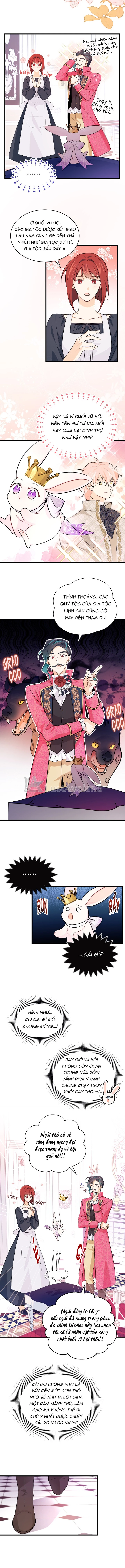 Mối Liên Kết Giữa Báo Đen Và Bé Thỏ Chapter 17 - Trang 2