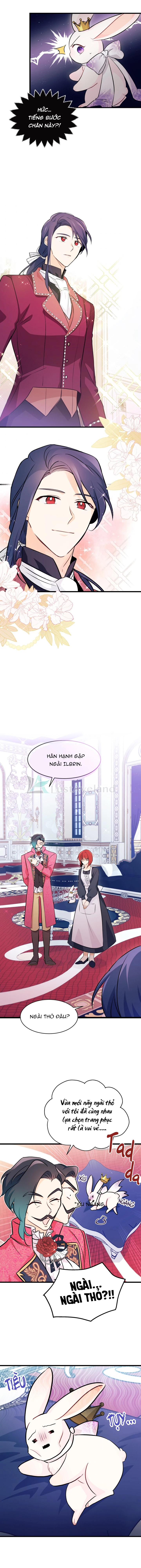 Mối Liên Kết Giữa Báo Đen Và Bé Thỏ Chapter 17 - Trang 2