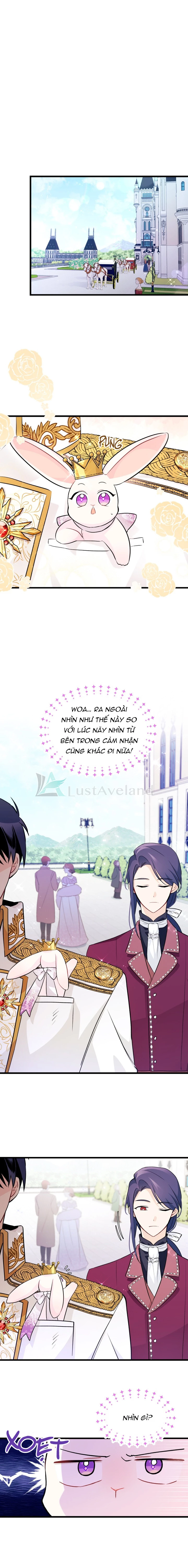 Mối Liên Kết Giữa Báo Đen Và Bé Thỏ Chapter 17 - Trang 2