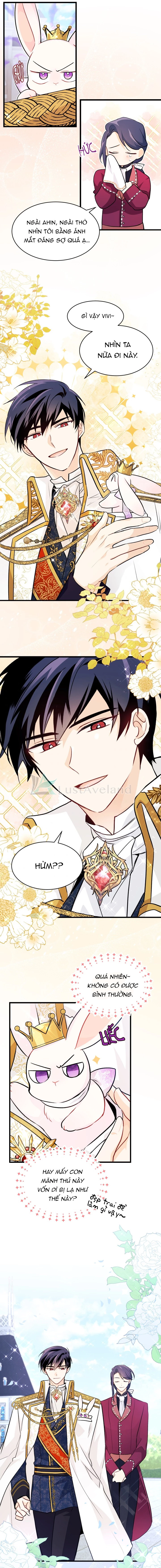 Mối Liên Kết Giữa Báo Đen Và Bé Thỏ Chapter 17 - Trang 2