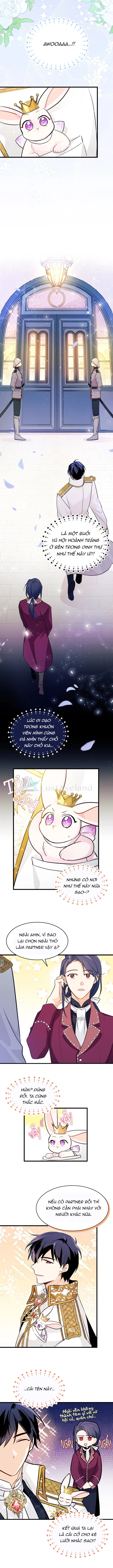 Mối Liên Kết Giữa Báo Đen Và Bé Thỏ Chapter 17 - Trang 2