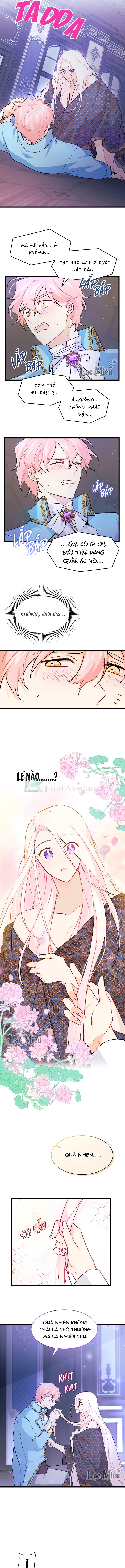 Mối Liên Kết Giữa Báo Đen Và Bé Thỏ Chapter 20 - Trang 2