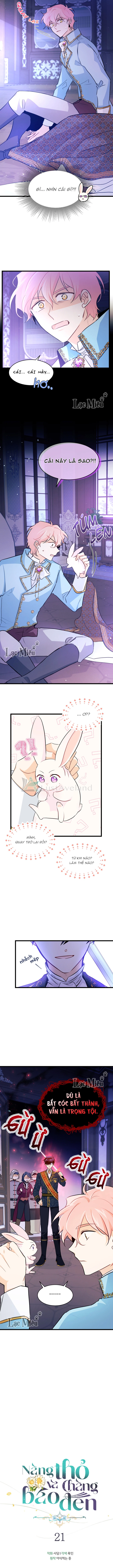 Mối Liên Kết Giữa Báo Đen Và Bé Thỏ Chapter 21 - Trang 2