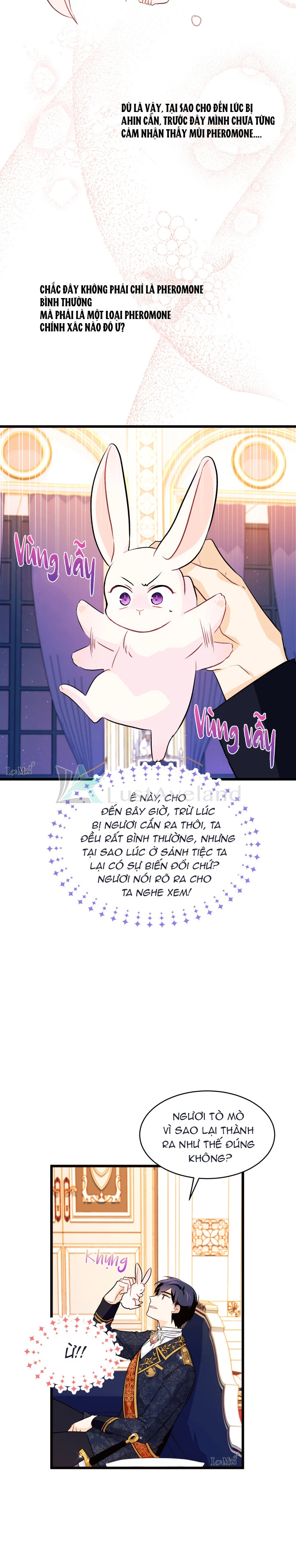 Mối Liên Kết Giữa Báo Đen Và Bé Thỏ Chapter 22 - Trang 2