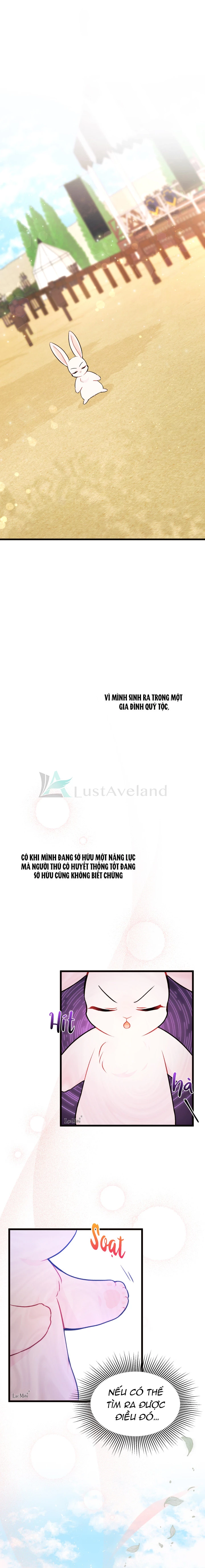 Mối Liên Kết Giữa Báo Đen Và Bé Thỏ Chapter 22 - Trang 2