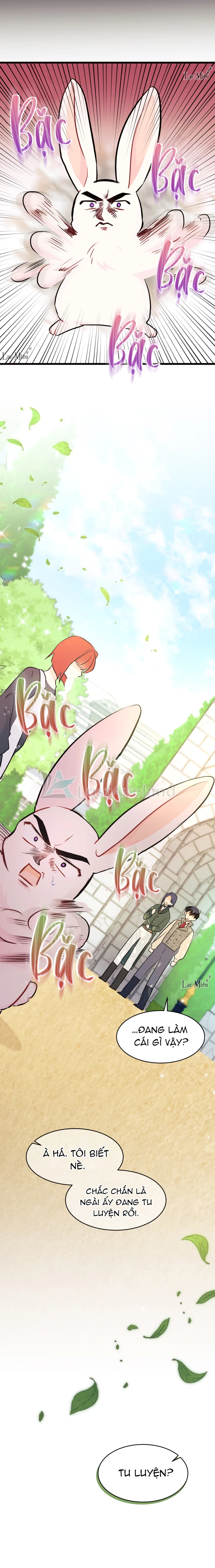 Mối Liên Kết Giữa Báo Đen Và Bé Thỏ Chapter 22 - Trang 2