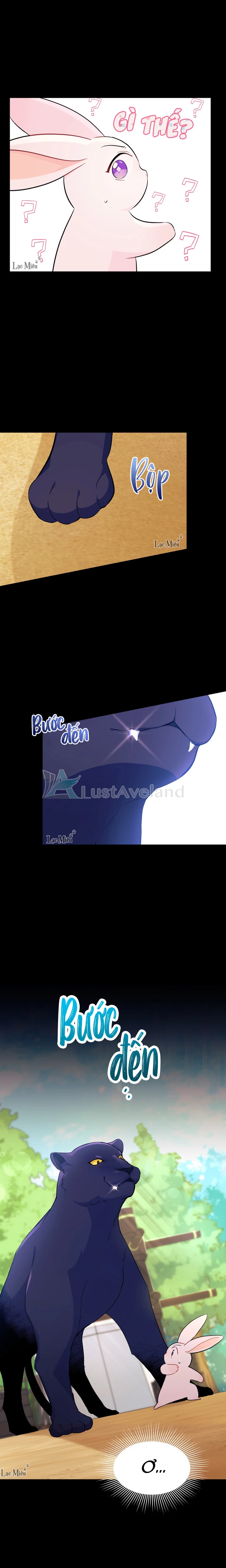 Mối Liên Kết Giữa Báo Đen Và Bé Thỏ Chapter 23 - Trang 2