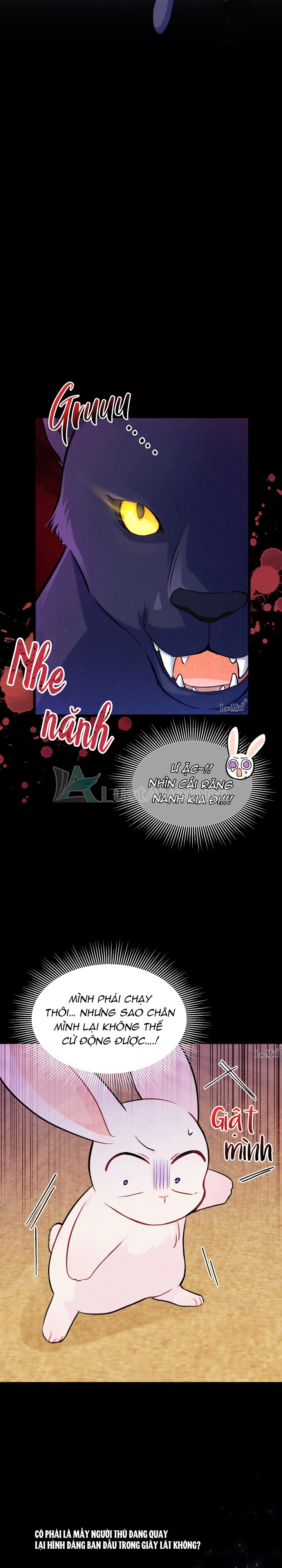 Mối Liên Kết Giữa Báo Đen Và Bé Thỏ Chapter 23 - Trang 2