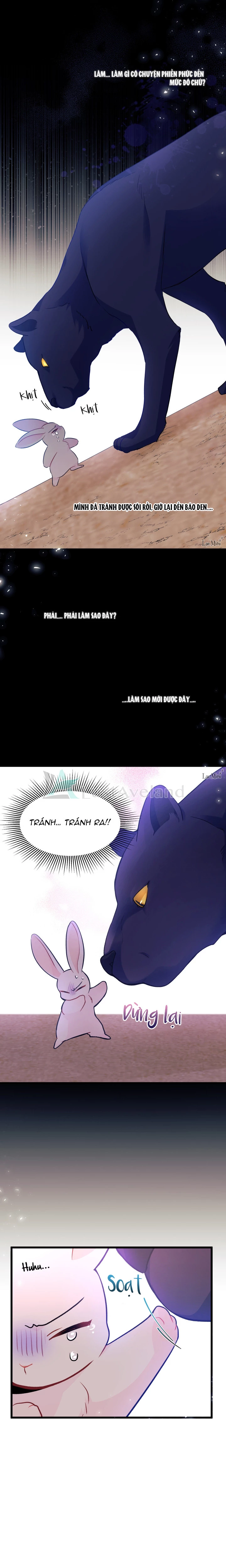 Mối Liên Kết Giữa Báo Đen Và Bé Thỏ Chapter 23 - Trang 2