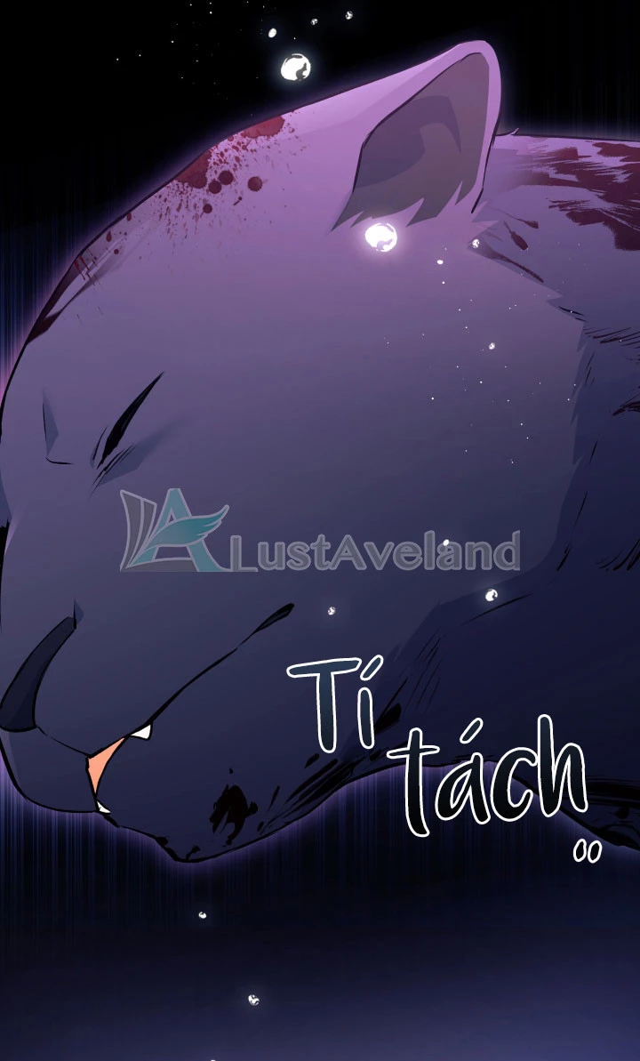 Mối Liên Kết Giữa Báo Đen Và Bé Thỏ Chapter 30 - Trang 2