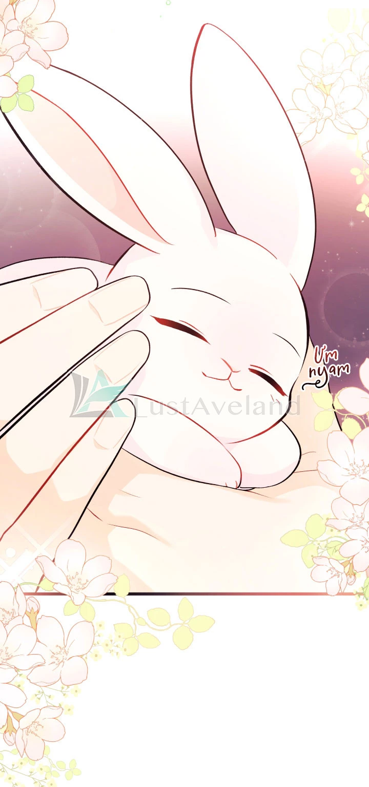 Mối Liên Kết Giữa Báo Đen Và Bé Thỏ Chapter 32 - Trang 2