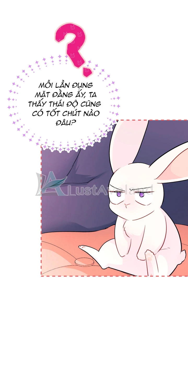 Mối Liên Kết Giữa Báo Đen Và Bé Thỏ Chapter 32 - Trang 2