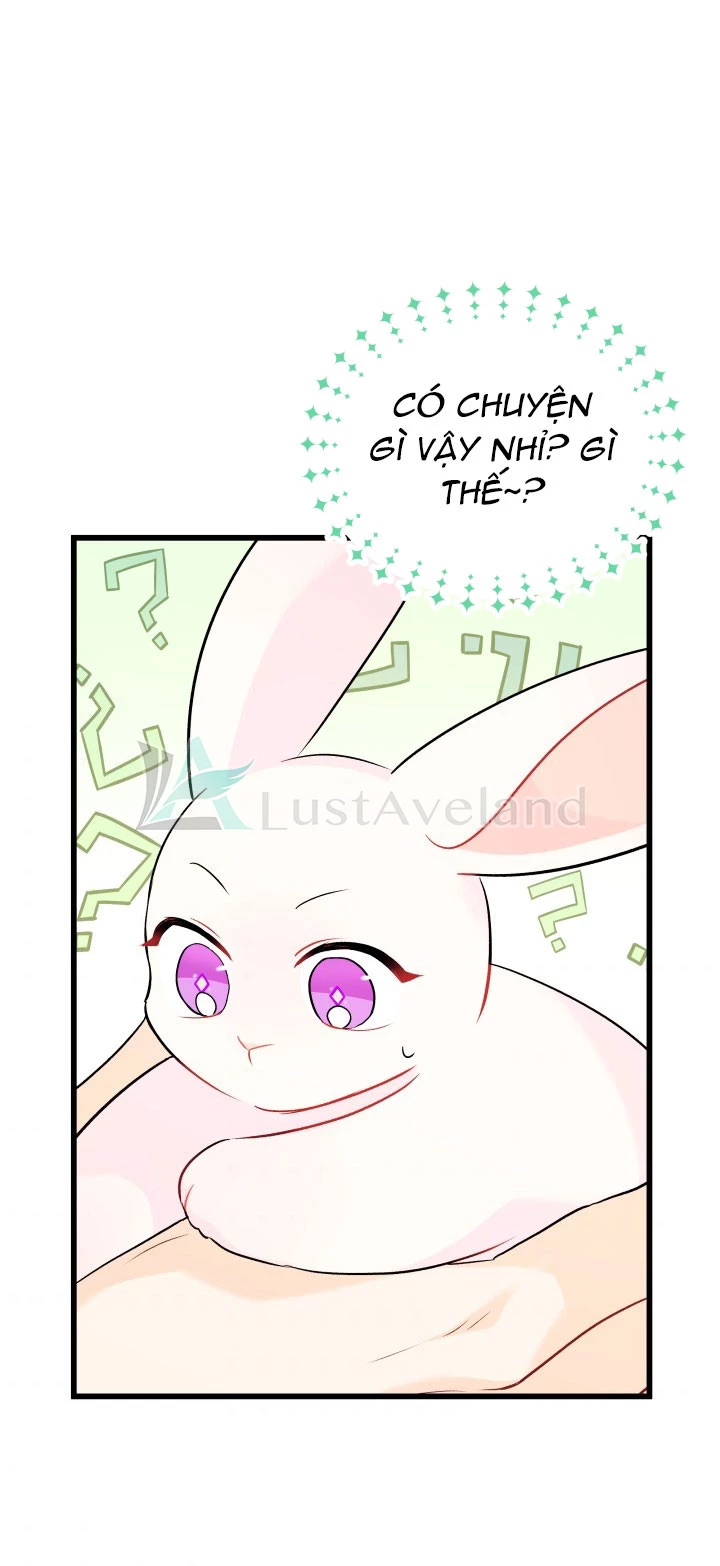 Mối Liên Kết Giữa Báo Đen Và Bé Thỏ Chapter 32 - Trang 2