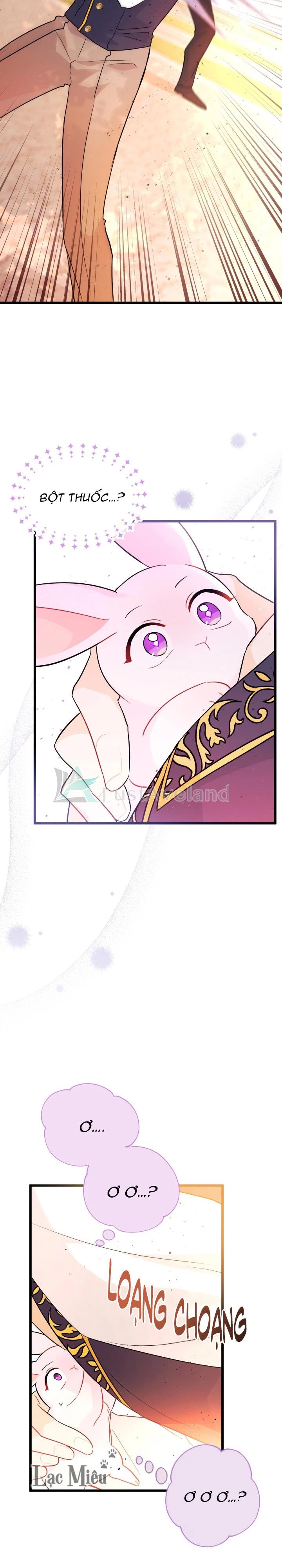 Mối Liên Kết Giữa Báo Đen Và Bé Thỏ Chapter 33 - Trang 2