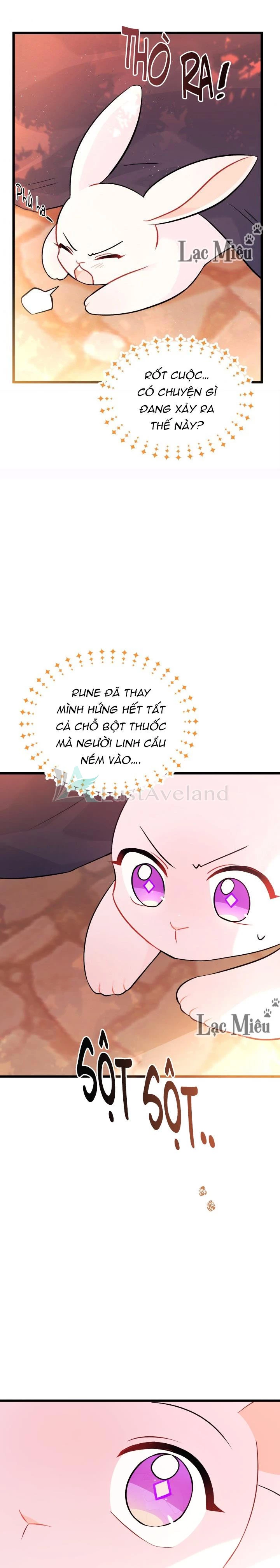 Mối Liên Kết Giữa Báo Đen Và Bé Thỏ Chapter 33 - Trang 2