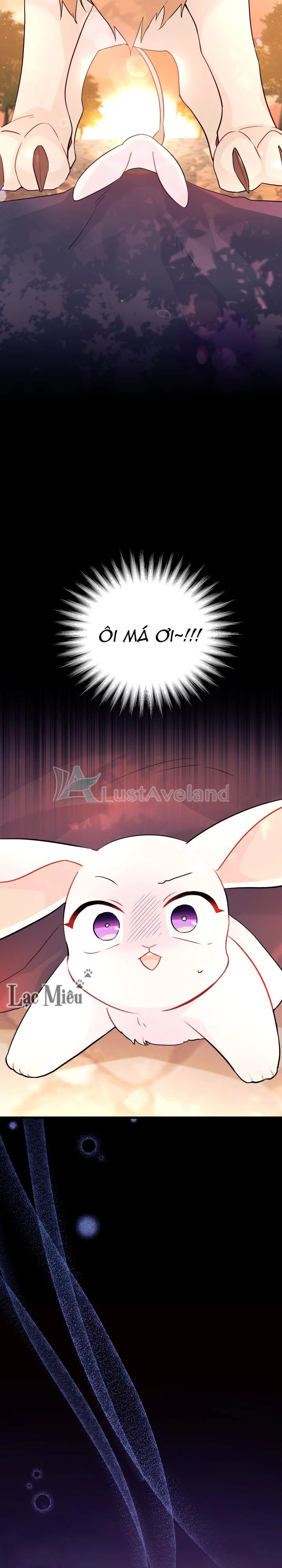 Mối Liên Kết Giữa Báo Đen Và Bé Thỏ Chapter 33 - Trang 2