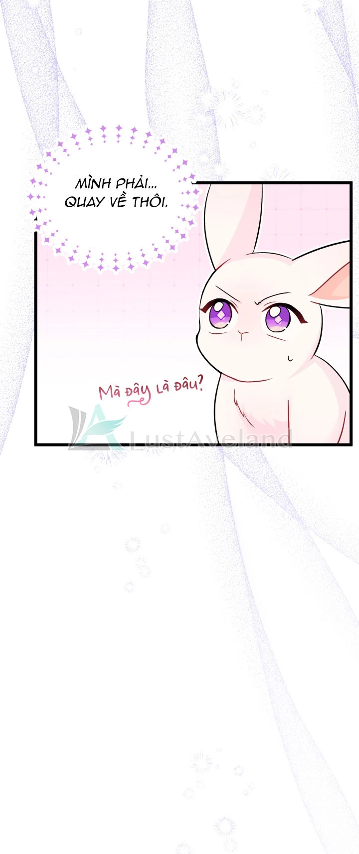 Mối Liên Kết Giữa Báo Đen Và Bé Thỏ Chapter 34 - Trang 2