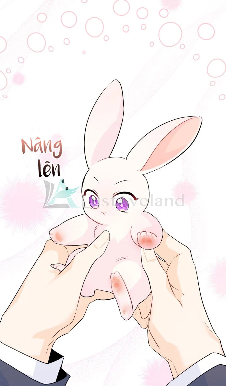 Mối Liên Kết Giữa Báo Đen Và Bé Thỏ Chapter 34 - Trang 2