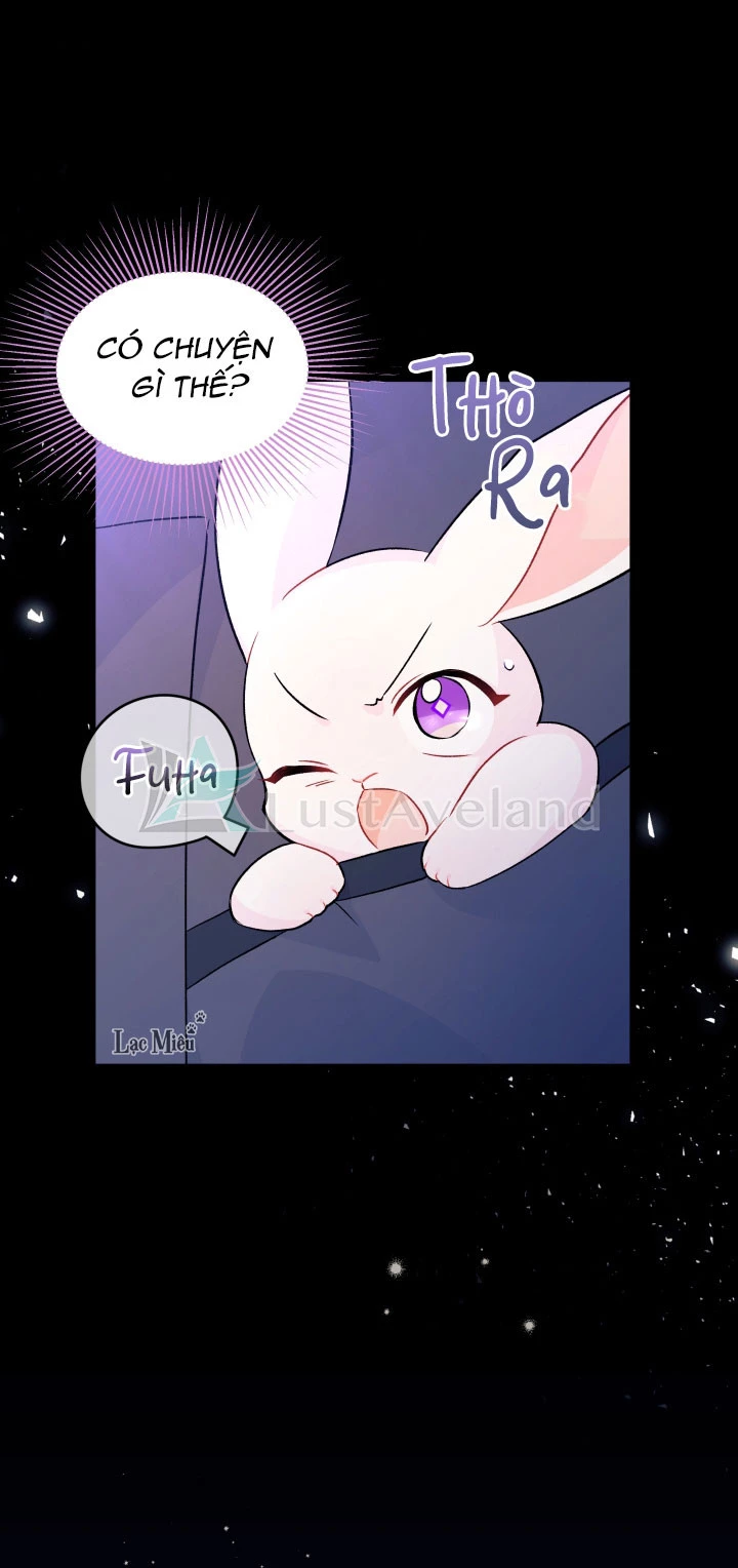 Mối Liên Kết Giữa Báo Đen Và Bé Thỏ Chapter 34 - Trang 2