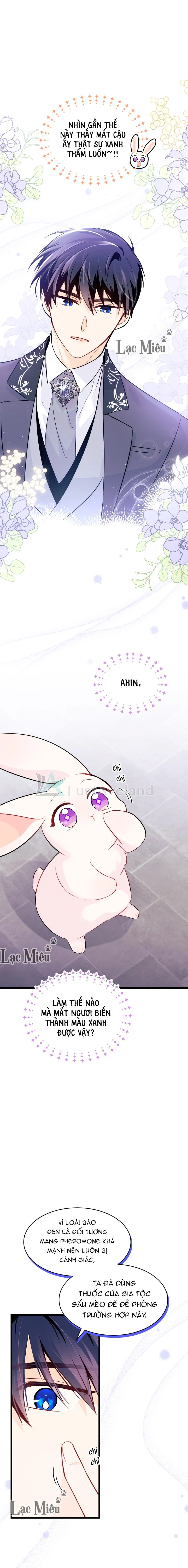 Mối Liên Kết Giữa Báo Đen Và Bé Thỏ Chapter 35 - Trang 2