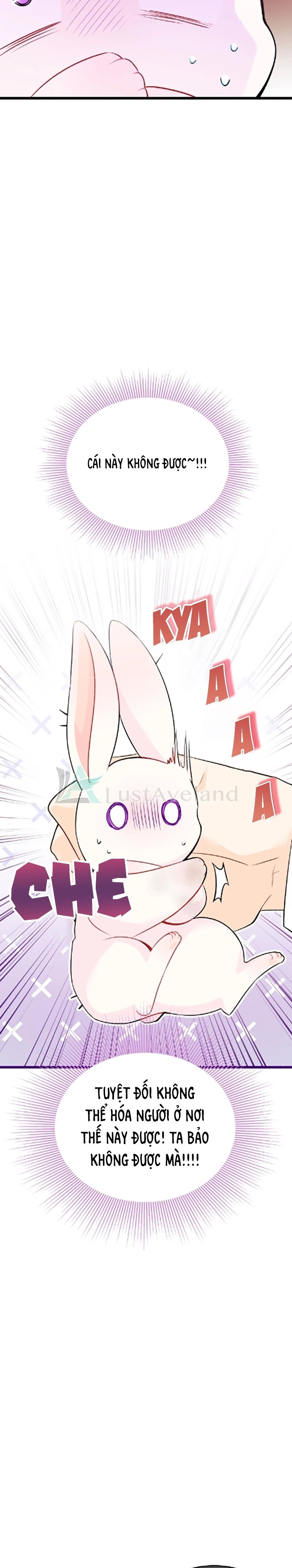 Mối Liên Kết Giữa Báo Đen Và Bé Thỏ Chapter 35 - Trang 2