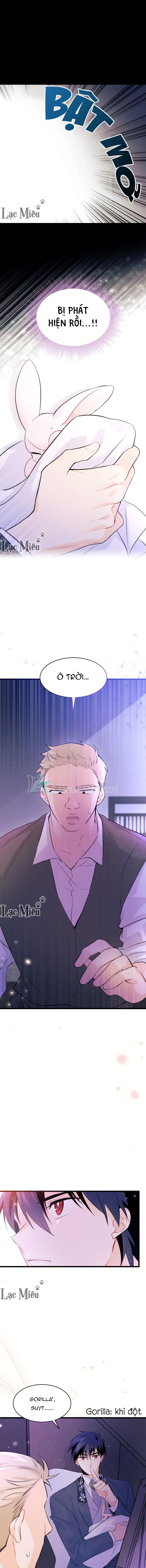 Mối Liên Kết Giữa Báo Đen Và Bé Thỏ Chapter 36 - Trang 2