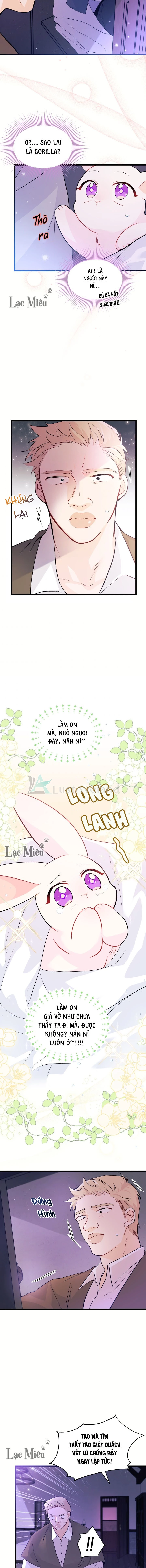 Mối Liên Kết Giữa Báo Đen Và Bé Thỏ Chapter 36 - Trang 2